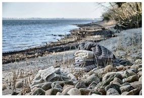 Telo da bagno in cotone marrone 70x140 cm Inu - Zone