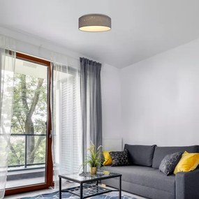 Rabalux - Plafoniera LED/22W/230V grigia