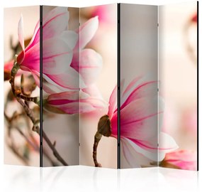 Paravento Ramo di magnolia II (5 pezzi) - Fiori rosa su sfondo chiaro