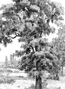 Isidore Leroy Carta da parati panoramica Domaniale - Panel B