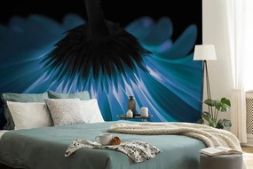 Carta da parati – Gerbera blu