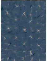 Coordonné Carta da parati Kanoko - Indigo