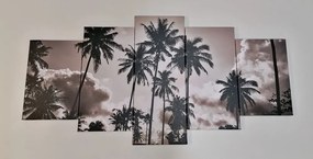 Quadri 5 pezzi – Palme da cocco sulla spiaggia in bianco e nero