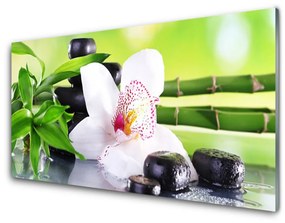 Quadro su vetro acrilico Foglie di bambù dell'orchidea 100x50 cm