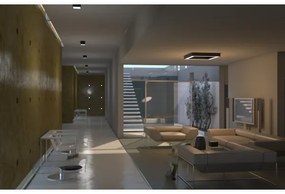 Immax NEO 07072L-15 - Lampada LED dimmerabile CANTO LED/12W/230V + T bianca