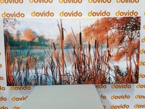 Quadro su tela – Fiume nel mezzo della natura autunnale