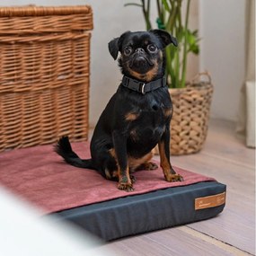 Materasso ortopedico nero per cani 110x90 cm Ori XXL - Rexproduct