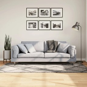 Tappeto Shaggy Pamplona Pelo Lungo Beige E Antracite 100x200cm /