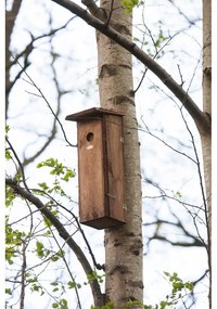 Casetta per uccelli in legno - Esschert Design