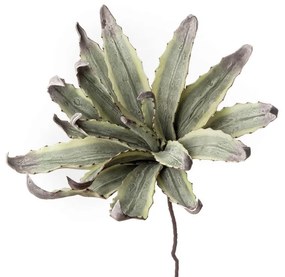 L'Oca Nera agave decorativa h 80