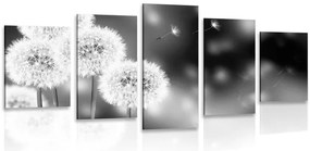 Quadri 5 pezzi – Dente di leone soffice in bianco e nero
