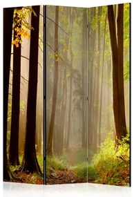 Paravento design Sentiero nel bosco misterioso (3 parti) - Paesaggio boschivo