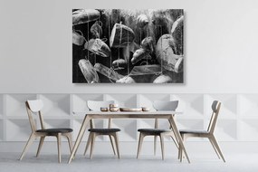 Stampa su tela – Pane appeso su corda in bianco e nero