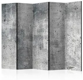 Paravento  Fresh Concrete II [Room Dividers] Unilaterale 225x172