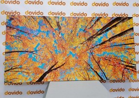 Quadro su tela – Corone autunnali degli alberi