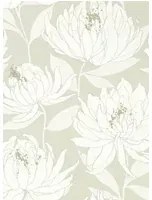 Chrysanthemen Tapete Sebal von Harlequin - Earth/ Silver