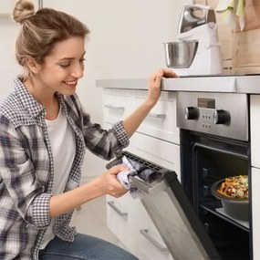 TESLA Electronics SlowCook - Pentola a fuoco lento 6,5 l 270W/230V