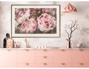 Poster Pastel Peonies