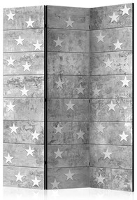 Paravento  Stars on Concrete [Room Dividers]  Colore Grigio, Dimensioni e Misure 135x172