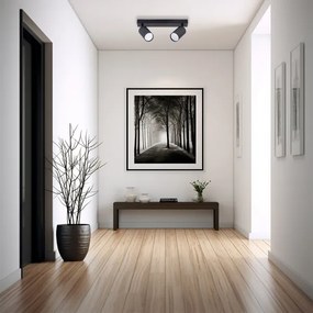 Faretto 2xGU10/35W/230V nero