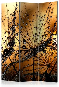 Paravento design Soffioni sotto pioggia - fiori con gocce su sfondo arancione