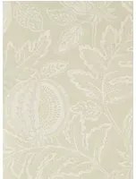 Sanderson Tapete Cantaloupe - Stone
