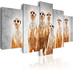 Quadro Meerkats  Colore Beige, Dimensioni e Misure 100x50