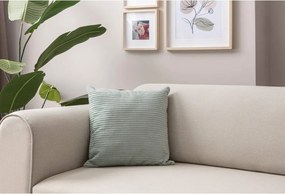 Federe decorative in set in velluto a coste 2 pz 43x43 cm – Mioli Decor