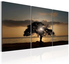 Quadro  Extraordinary Nature  Colore Blu, Dimensioni e Misure 120x60