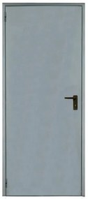 Porta per cantina a battente Tam in acciaio zincato colore grigio, L 90 x H 205 cm, apertura reversibile