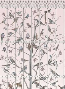 Fornasetti Tapete Uccelli von Cole and Son - Ballet Slipper