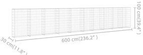 Gabbione con Copertura in Acciaio Zincato 600x30x100 cm