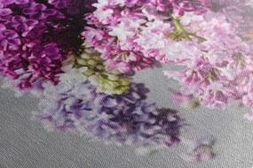 Stampa su tela – Lilla in tonalità rosa