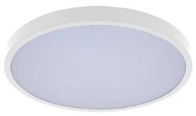 Rabalux 71430-Plafoniera LED dimmerabile da bagno ALENZO LED/36W/230V IP44 bianco + +TC