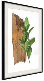 Poster  Forest Bouquet  Cornice Quadri Cornice nera con pass-partout, Larghezza x Altezza Home decor 30x45