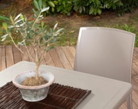 Sedia da giardino o cucina in polipropilene impilabile - Set 2 FEBE Tortora