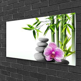 Quadro vetro Bambù Spa Arte Zen 100x50 cm