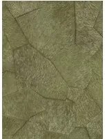 Élitis Carta da parati Pampa - VP 967 60