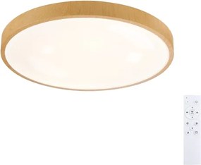 Brilagi-LED Lampada dimmerabile GLASS POOL DOUBLE LED/60W/230V 50 cm, finitura effetto legno + telecomando