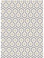 Cole & Son Carta da parati Hicks' Hexagon - Gilver/ White
