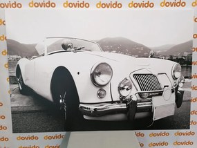 Quadro su tela – Vettura d'epoca di lusso in bianco e nero