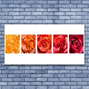 Quadro su tela Rose, fiori, piante 100x50 cm