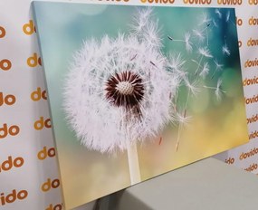 Stampa su tela – Soffione magico
