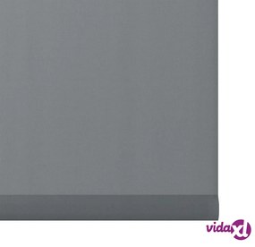 Decosol Tendina a Rullo Traslucida Antracite 107x160 cm