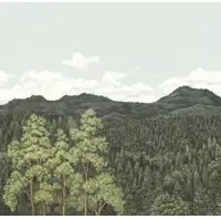 Nobilis Carta da parati panoramica Canopy 2 - MHP20