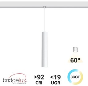 Lampada a Sospensione 10W Magnetica CCT CRI92 Bianca Colore Bianco Variabile CCT