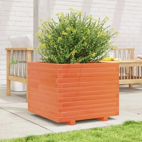 Fioriera Giardino Marrone Cera 60x60x49,5cm Legno Massello Pino /