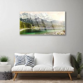 Quadro su vetro acrilico Montagne del paesaggio del lago della foresta 100x50 cm