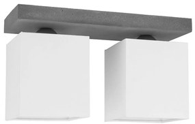 Spot-Light 2241236 - Plafoniera GREAT 2xE27/25W/230V cemento