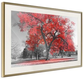 Poster  Red Tree  Cornice Quadri Cornice d'oro con passe-partout, Larghezza x Altezza Home decor 30x20